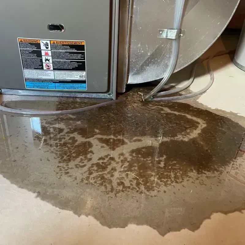 Appliance Leak Cleanup in Dawson Springs, KY